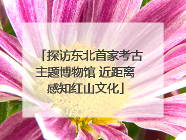 探访东北首家考古主题博物馆 近距离感知红山文化