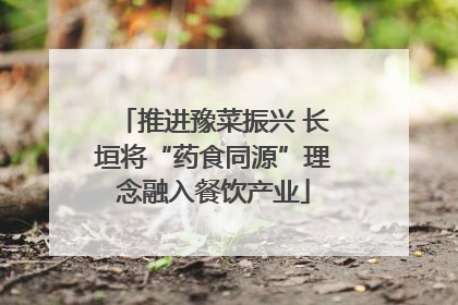 推进豫菜振兴 长垣将“药食同源”理念融入餐饮产业