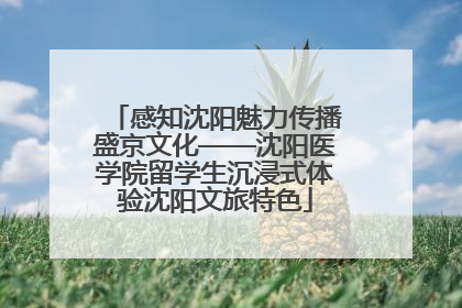 感知沈阳魅力传播盛京文化——沈阳医学院留学生沉浸式体验沈阳文旅特色