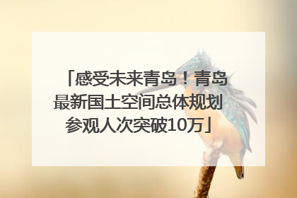 感受未来青岛！青岛最新国土空间总体规划参观人次突破10万