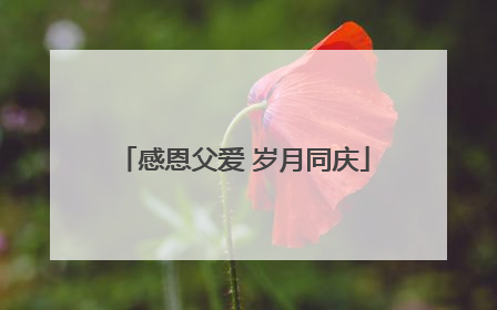 感恩父爱 岁月同庆