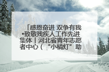 感恩奋进 双争有我•致敬残疾人工作先进集体丨河北省青年志愿者中心（“小橘灯”助残接力计划实施团队）：用温暖陪伴，守护特殊孩子成长