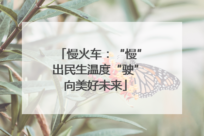 慢火车：“慢”出民生温度“驶”向美好未来