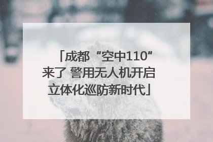 成都“空中110”来了 警用无人机开启立体化巡防新时代