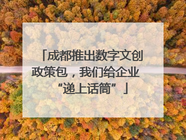 成都推出数字文创政策包，我们给企业“递上话筒”