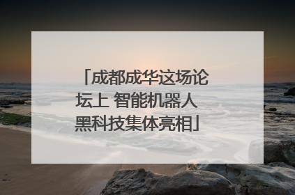 成都成华这场论坛上 智能机器人黑科技集体亮相