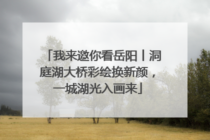 我来邀你看岳阳丨洞庭湖大桥彩绘换新颜，一城湖光入画来