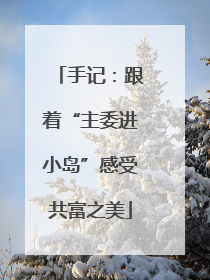 手记：跟着“主委进小岛”感受共富之美