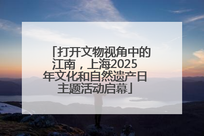 打开文物视角中的江南，上海2025年文化和自然遗产日主题活动启幕