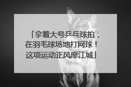 拿着大号乒乓球拍，在羽毛球场地打网球！这项运动正风靡江城