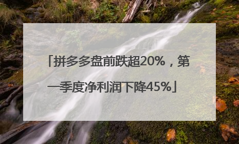 拼多多盘前跌超20%，第一季度净利润下降45%