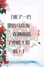 挨了一巴掌的马克龙，在越南说了些啥？危险！