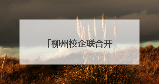 柳州校企联合开展党建共建 助力汽车产业升级