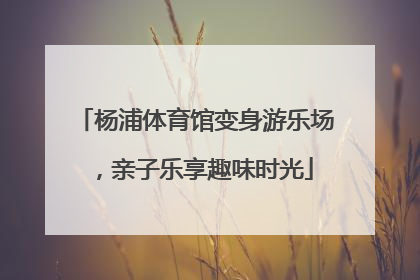 杨浦体育馆变身游乐场，亲子乐享趣味时光