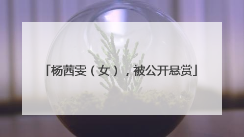 杨茜雯（女），被公开悬赏