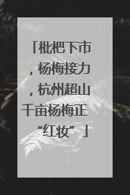 枇杷下市，杨梅接力，杭州超山千亩杨梅正“红妆”