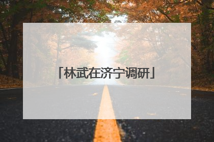 林武在济宁调研