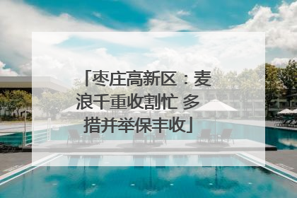 枣庄高新区：麦浪千重收割忙 多措并举保丰收