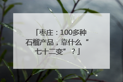 枣庄：100多种石榴产品，靠什么“七十二变”？