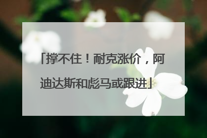 撑不住！耐克涨价，阿迪达斯和彪马或跟进