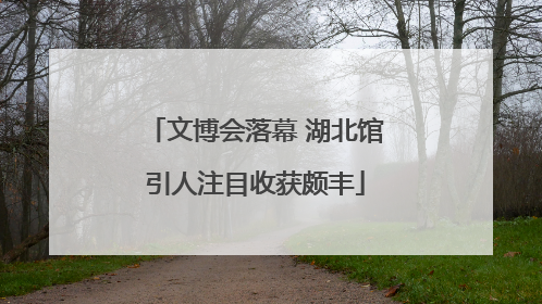 文博会落幕 湖北馆引人注目收获颇丰