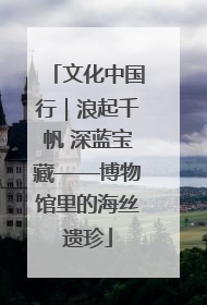 文化中国行｜浪起千帆 深蓝宝藏——博物馆里的海丝遗珍