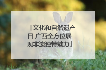 文化和自然遗产日 广西全方位展现非遗独特魅力