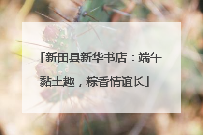 新田县新华书店：端午黏土趣，粽香情谊长
