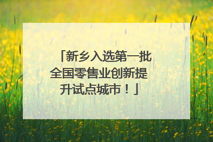 新乡入选第一批全国零售业创新提升试点城市！
