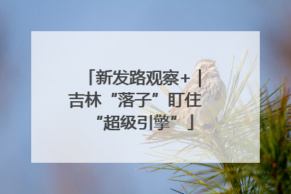 新发路观察+｜吉林“落子”盯住“超级引擎”