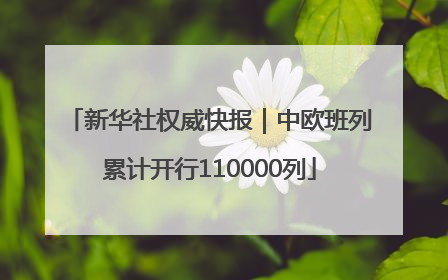 新华社权威快报｜中欧班列累计开行110000列