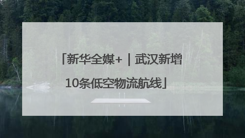 新华全媒+｜武汉新增10条低空物流航线