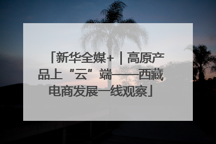 新华全媒+｜高原产品上“云”端——西藏电商发展一线观察
