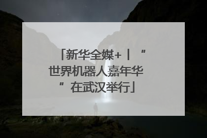 新华全媒+丨“世界机器人嘉年华”在武汉举行