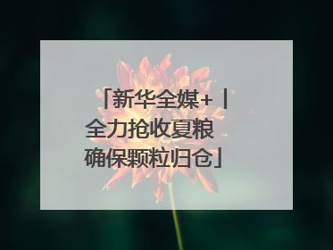 新华全媒+丨全力抢收夏粮 确保颗粒归仓