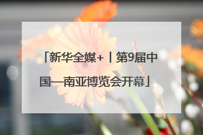 新华全媒+丨第9届中国—南亚博览会开幕