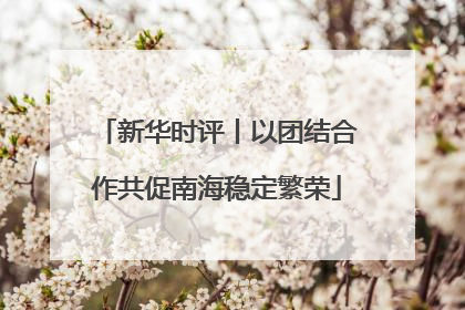 新华时评丨以团结合作共促南海稳定繁荣