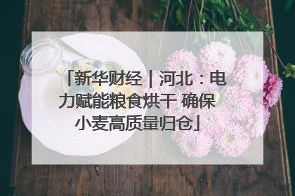 新华财经｜河北：电力赋能粮食烘干 确保小麦高质量归仓
