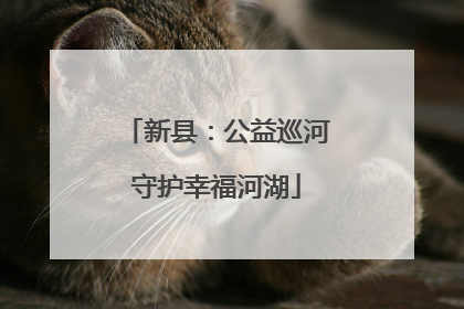 新县：公益巡河守护幸福河湖