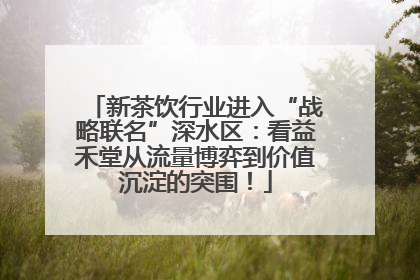 新茶饮行业进入“战略联名”深水区：看益禾堂从流量博弈到价值沉淀的突围！