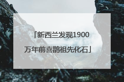 新西兰发现1900万年前喜鹊祖先化石