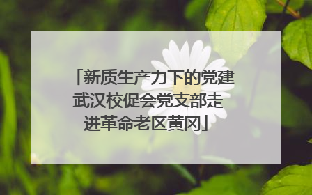 新质生产力下的党建 武汉校促会党支部走进革命老区黄冈