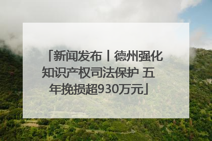 新闻发布丨德州强化知识产权司法保护 五年挽损超930万元