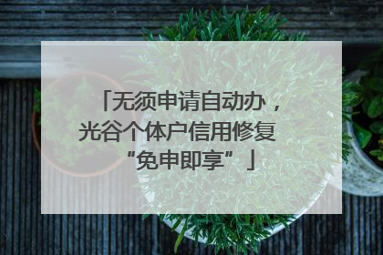 无须申请自动办，光谷个体户信用修复“免申即享”