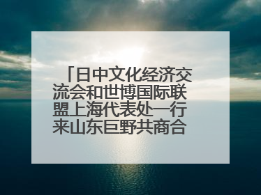 日中文化经济交流会和世博国际联盟上海代表处一行来山东巨野共商合作新机遇
