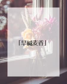 旱碱麦香