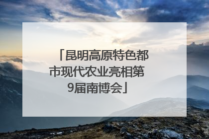 昆明高原特色都市现代农业亮相第9届南博会