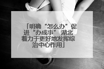 明确“怎么办”促进“办成事” 湖北着力于更好地发挥综治中心作用