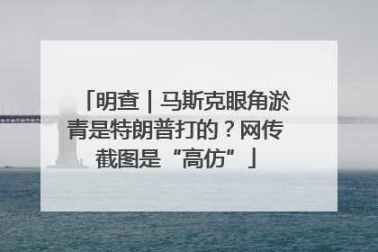 明查｜马斯克眼角淤青是特朗普打的？网传截图是“高仿”