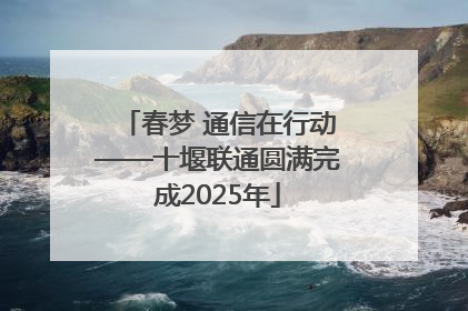 春梦 通信在行动——十堰联通圆满完成2025年